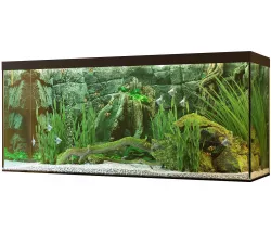 Aquarium 3D model