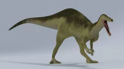 barynox 3D model