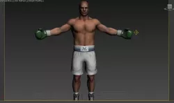 boxer  3D model