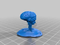 Brain