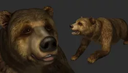 Brown Bear 3D model