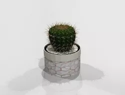 Cactus 3D model
