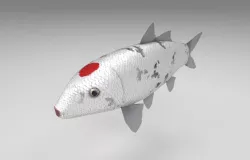 Carp koi fish Low-poly  3D model