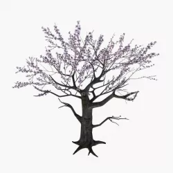 Cherry Blossom humanoid 3D model