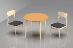 Dining set ( 2 dining chair )
