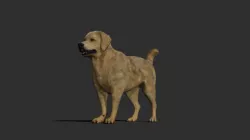 Dog rigged and animated Low-poly  3D model