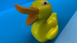 Duck 