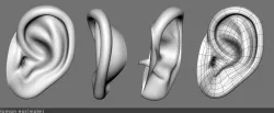 Ear 03- 3D model