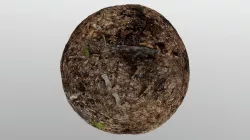 Essential Landscape Material Pack 26 Seamless Tilable 4K Texture