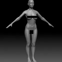 Female Basemesh ZTool 4R8 3D model