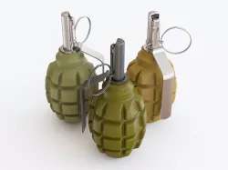 Grenade F1 3D model