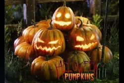 Halloween pumpkins and other stuff Low-poly  3D model