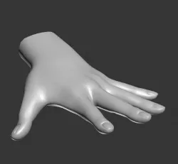 Hand Spline Model 3D model
