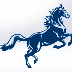 Horse Lazer