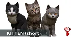 Kitten short Low-poly  3D model