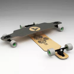 longboard 3D model