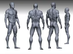 male anatomy modeler Low-poly  3D model