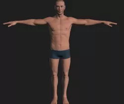 Male character 3D model