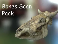 PBR Bones Scan Set Low-poly  3D model