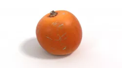 Pumpkin 3D model