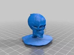Skull 3D Scan
