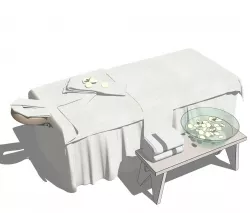 spa bad 3D model