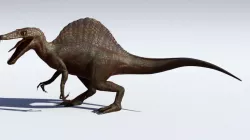 Spinosaurus (Blend File)