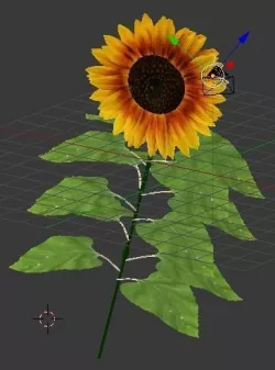 Sunflower 3D 3D model
