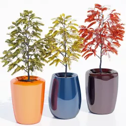 Tree one 3D model