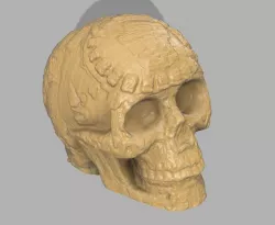 Aztec Skull 3D print model