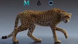 Cheetah 3D model