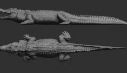 Hight detailed crocodile model 3D model