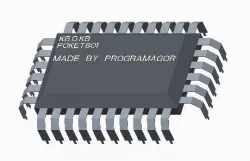 IC CHIP: Microprocessor
