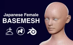 Japanese female BASEMESH Low-poly  3D model