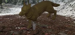 Prototype of prosthesis for dog (Prototipo de protesis para perro)