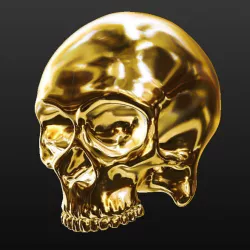 Skull 3D print model