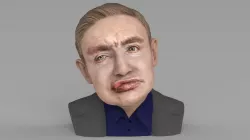 Stephen Hawking bust ready for full color 3D printing 3D print model