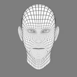 Stylized Head Base Mesh Low-poly  3D model