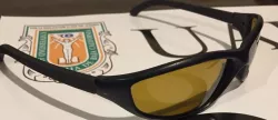 Sunglasses Back to service Fix