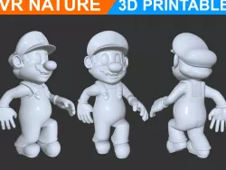 Super Mario 3D Printable 180707 3D print model