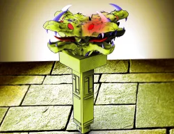 Talisman Detector