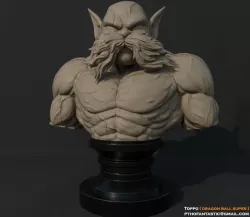 Toppo STL - Dragon Ball Super - 3D Print Model  3D print model