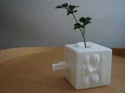 Blockhead