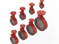 Bray Butterfly Valve (Configurations)