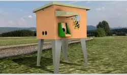 Bumblebee house