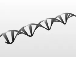 DNA model