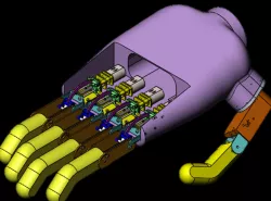 Etude et Realisation d'un prototype d'une main bionique