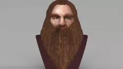 Gimli Lord of the Rings bust full color 3D printing ready 3D print model