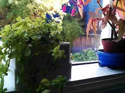 Parametric windowsill planter with reservoir