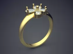 Ring FR11 3D print model
